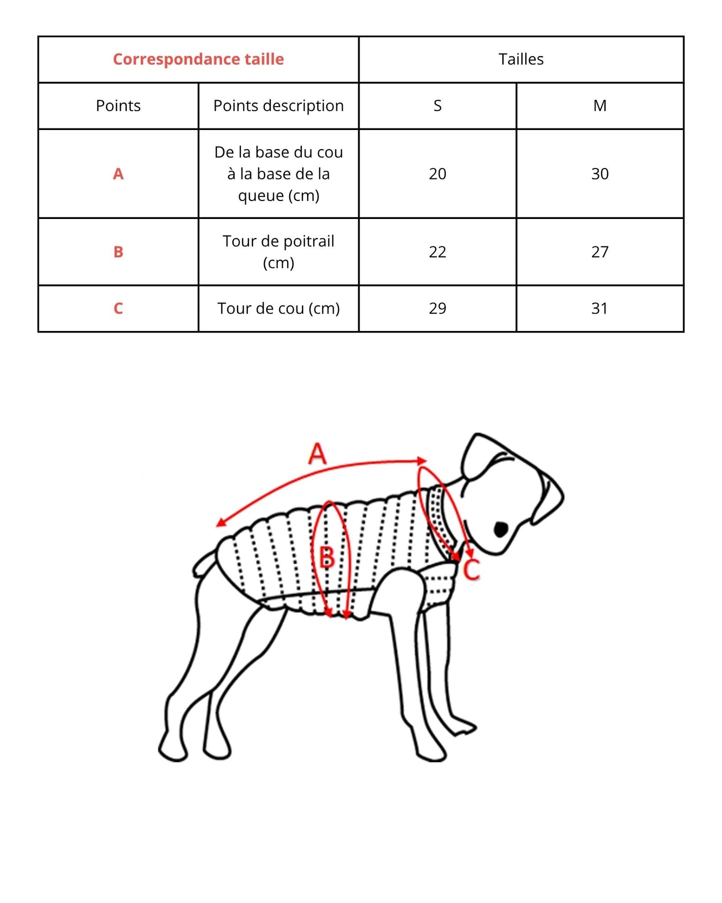 Imperméable pour chien Bleu cristal Balto
