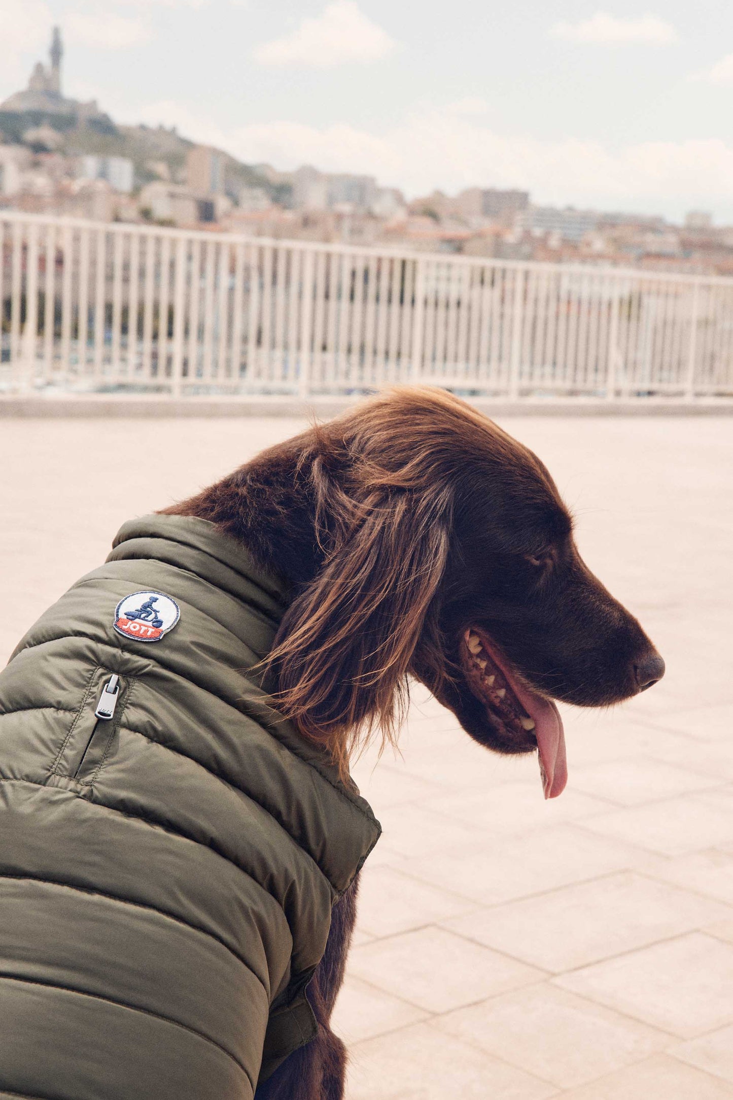 Doudoune pour chien Army Cutie